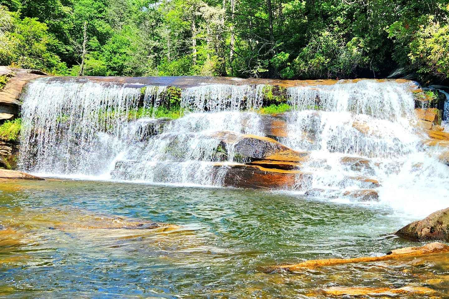 Asheville: Hidden Gems Tour in The Blue Ridge Mountains thumbnail